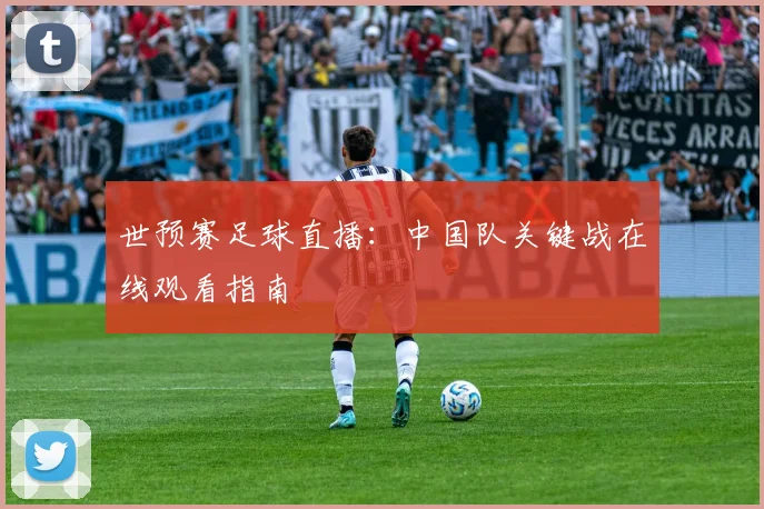 世预赛足球直播：中国队关键战在线观看指南