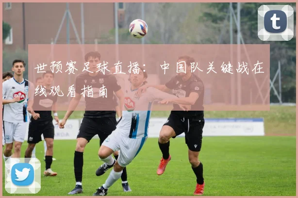 世预赛足球直播：中国队关键战在线观看指南