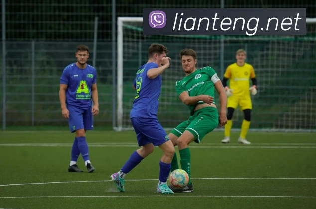 果动体育官网APP 封面图